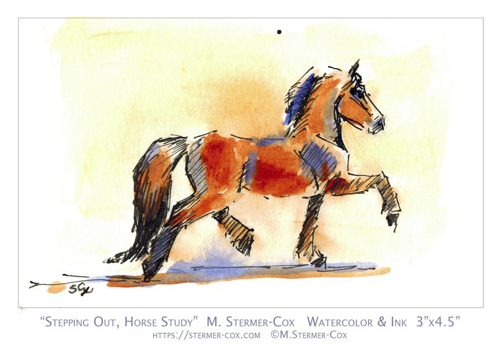 Horse Studies