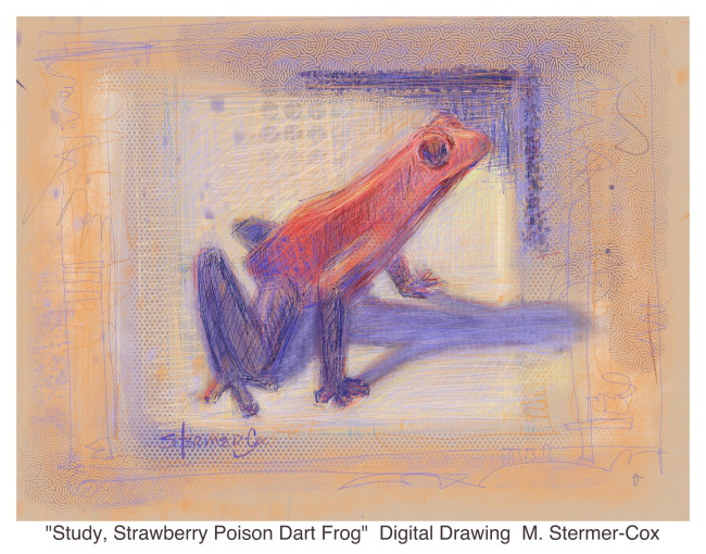 Struggling To Create: Strawberry Frog